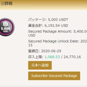 【6,154円】スガノミクス「１０万円再給付」